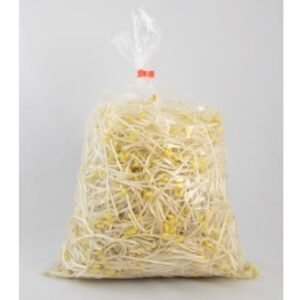 콩나물 bean sprout 1kg
